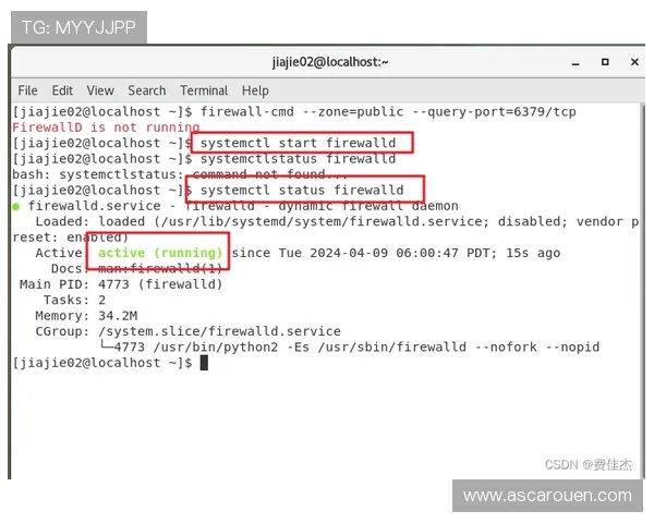 k8娱乐官方下载常见问题解答，解决用户在下载过程中遇到的困扰